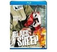 B-BLACK SHEEP-VN G