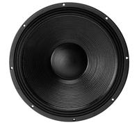 B&C Speakers 18 NW 100 Haut-parleur