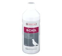 B-Chol Solution(S) 500 ml