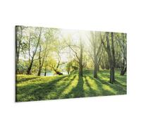 B&D XXL - Grand Tableau Décoration Murale Chambre, Nature, 135x45 cm | Clous Inclus, Impression sur Toile, Tableaux, Posters et Arts Décoratifs, Arbres Paysage Forêt Feuilles Plantes Soleil Herbe