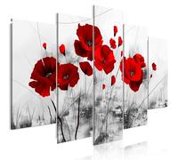 B&D XXL - Peinture acrylique 200x100 cm - Effet texturé ou coup de pinceau - Décoration avec finition faite à la main - Salon chambre - Finition artisanale - Fleurs Coquelicots Rouge 0107-5