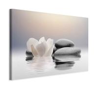 B&D XXL - Tableau décoratif nature 120x80 cm - Impression sur toile colorée - Décoration murale pour salon et chambre - Asie feng shui pierre fleurs magnolias orienter eau zen b-B-0095-b-a