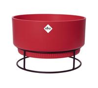 B.For Studio Coupe 30 Rouge Brilliant Rouge