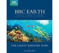 B-GREAT BARRIER REEF-VN