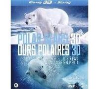 B-POLAR BEARS-ICE BEAR-3D-BILINGUE G