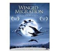 B-PRESTIGE-PEUPLE MIGRATEUR-VN G