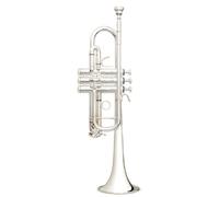 B&S B&S 3136TC-S Challenger II