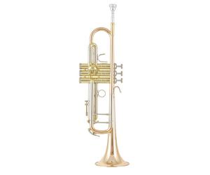 B&S B&S 3137 G-L Challenger I GM