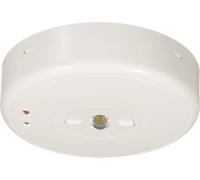 B-SAFETY BL550038 Eclairage de sécurité montage apparent au plafond