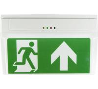 B-SAFETY BR530030 Eclairage LED d'issue de secours montage apparent au plafond, montage apparent au mur Sortie, issue de secours