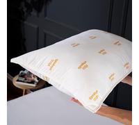 B&T MAISON Oreiller Orthopédique 50x70 en Mousse à Mémoire de Forme et Microfibre - Oreiller Doux et Moelleux Qualité Hôtel, Oreillers de lit mi-Ferme pour Un Sommeil et Confort Optimal