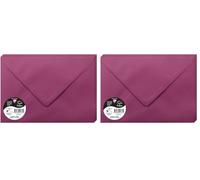 B009N9P6IA (Pack of 2)