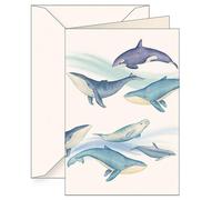 B6 carnet + enveloppe 6144 Mammifères marins