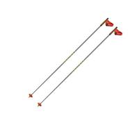 bÃ¢tons de ski de fond ONE WAY Storm 6 Mag (gris) 175 cm