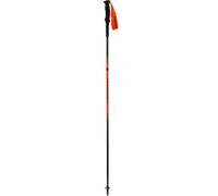 BÃ¢tons de trail DYNAFIT Alpine Pole (dawn) 125 cm