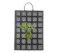 baabeash Support pour Fougère Platycerium - Panneau Vertical Porte- Mural | pour Montage Orchidées Et Porte- Rampantes pour Intérieur Et Extérieur