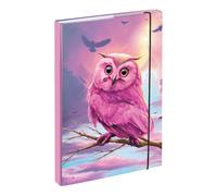Baagl Boîte à cahiers pour cartable A4 - Classeur pour enfants avec élastique et rabats intérieurs - Classeur, boîte à cahiers avec élastique pour filles (hibou)