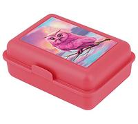 Baagl Boîte à goûter pour enfants avec compartiments - Boîte à goûter avec séparateur pour l'école et le jardin d'enfants - Lunchbox avec compartiments pour les filles (Hibou)