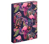 Baagl Boîte de classement pour cartable - Chemise A4 pour enfants avec élastique et rabat intérieur - Classeur avec élastique pour garçons (flamant rose)