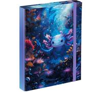Baagl Boîte de classement pour cartable - Classeur A5 23 x 17 cm - Pour enfants avec élastique et rabat intérieur - Classeur avec élastique pour garçon (Axolotl)