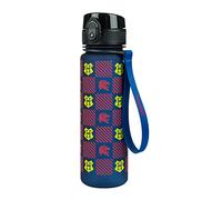 Baagl La Gourde en Tritan avec Paille et Passoire pour Enfant 500 ml, Sans PVC et BPA, Anti-Fuite (Harry Potter Gryffindor)