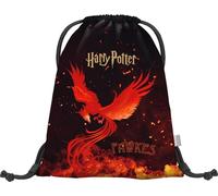 Baagl Sac de sport pour garçon, sacs de chaussures imperméables pour enfants, sac de sport pour l’école et la garderie, sac à dos de sport, sac de gym, 46x36 cm