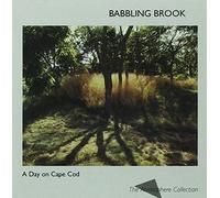 Babbling Brook - Day on Cape Cod