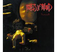 Babes In Toyland - Fontanelle [Compact Discs] Holland - Import