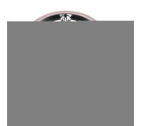 Babies Plate, Stainless Steel Dinnerware, Heat Resistant Non Stick Tray, Divided Metal Dish Design, Kids Dishes for Vegetables, Fruits, Meat, Home, and Mealtime, 9.25x9.25x1.18 inches