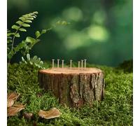 babominimer Lot de 20 à 50 clous en cuivre de 65 mm/75 mm pour enlever les souches d'arbre, pointes tue-racines compatibles avec forets, solution d'élimination des plantes non perturbante (B)