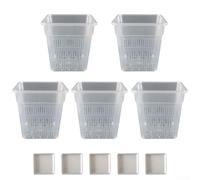 babominimer Pot à orchidée carré pour observation de la croissance des racines des plantes, pot de fleurs en plastique respirant et perméable à la lumière, 15 cm, compatible avec phalaenopsis et