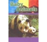 Baby Animals