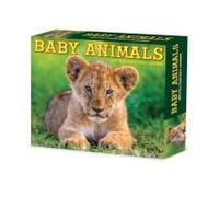 Baby Animals 2026 Box Calendar