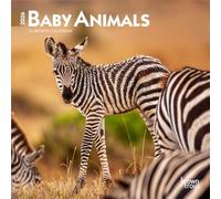 Baby Animals 2026 Mini 7X7