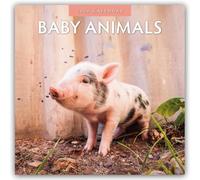 Baby Animals 2026 Square Wall Calendar