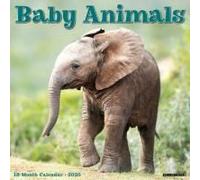 Baby Animals 2026 Wall Calendar