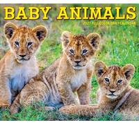 Baby Animals 2027 Box