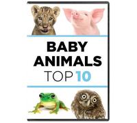 Baby Animals: The Top Ten [Digital Video Disc]