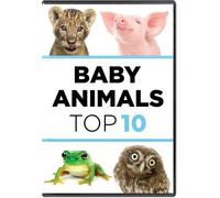 Baby Animals: The Top Ten