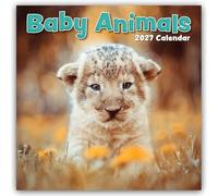 Baby Animals - Tierkinder 2027 - 16-Monatskalender: Original Gifted Stationery-Kalender [Mehrsprachig] [Kalender]