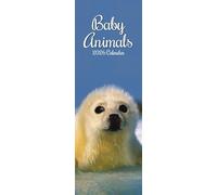 Baby Animals - Tierkinder - Slimline-Kalender 2026: Original Gifted Stationery Kalender - Slimline [Mehrsprachig] [Kalender]
