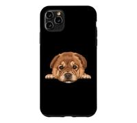 Baby Chow Chow Chiot Gros Plan Chien Portrait Coque pour iPhone 11 Pro Max
