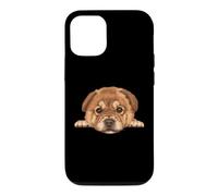 Baby Chow Chow Chiot Gros Plan Chien Portrait Coque pour iPhone 12/12 Pro
