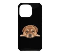 Baby Chow Chow Chiot Gros Plan Chien Portrait Coque pour iPhone 13 Pro