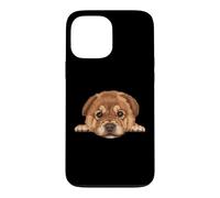 Baby Chow Chow Chiot Gros Plan Chien Portrait Coque pour iPhone 13 Pro Max