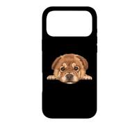 Baby Chow Chow Chiot Gros Plan Chien Portrait Coque pour iPhone 17 Pro Max