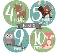 Baby Monthly Stickers | Woodland Creatures Baby Milestone Stickers | Newborn Boy or Girl Animal Stickers | Month Stickers for Baby Boy | Gender Neutral | Unisex Monthly Milestone Stickers (Set of 24)