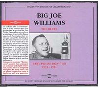 Williams, Big Joe - Baby Please Don't Go (1935-1951) (2CD)
