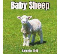 Baby Sheep Calendar 2026: 14-Month Organizer from Nov 2025 to Dec 2026 | Perfect for Home, Office, School & Family Scheduling, For Men , Women , Girls , Boys