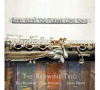 Baby Won't You Please Come Home [Us Import]